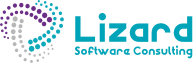 Lizard Software Consulting